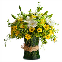 Brillante - Regalar Rosas, Regalar tulipanes, regalar flores,regalar arreglos florales, regalar regalos