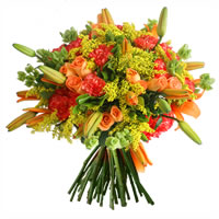 Amore Diverso - Regalar Rosas, Regalar tulipanes, regalar flores,regalar arreglos florales, regalar regalos