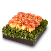 Sensible Amour - Regalar Rosas, Regalar tulipanes, regalar flores,regalar arreglos florales, regalar regalos